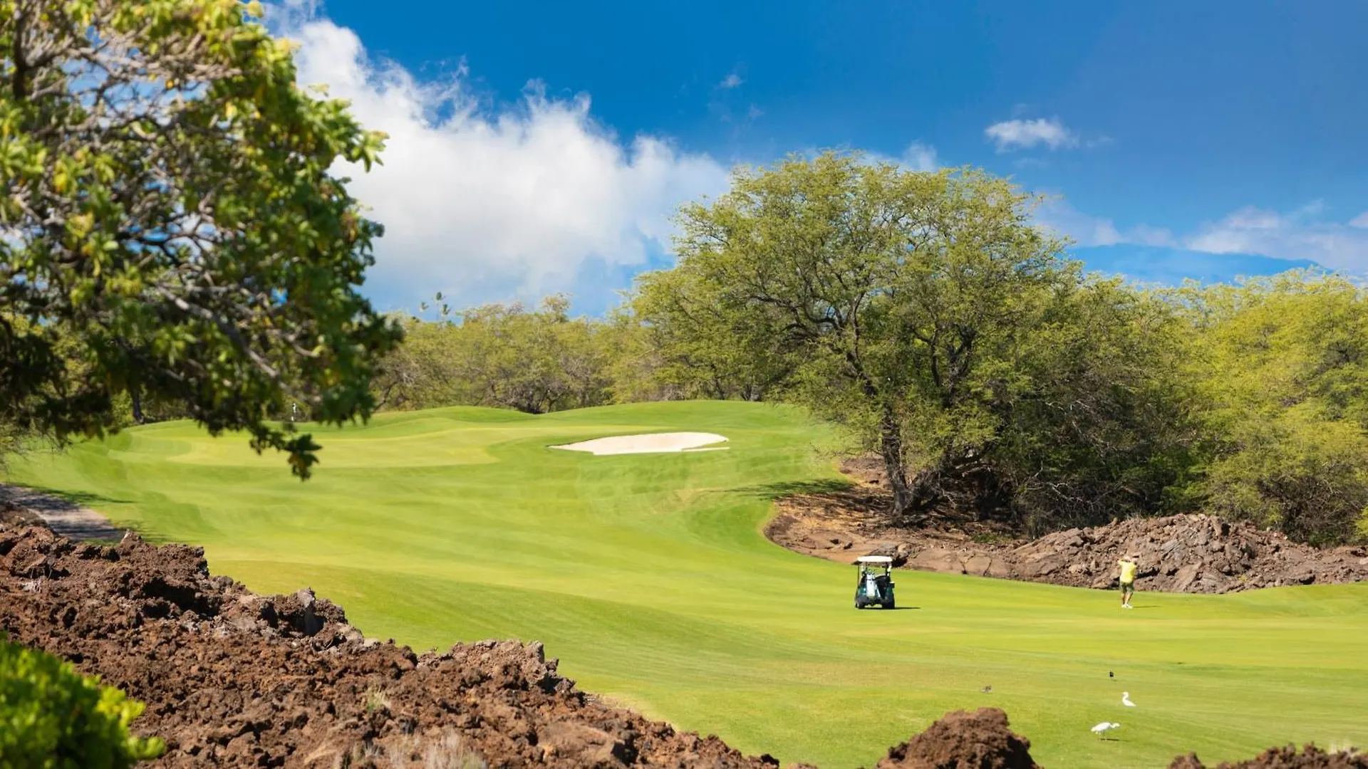 Orchid Villa Inviting Fairways 3Br With Bikes And Private Beach Club Waikoloa
